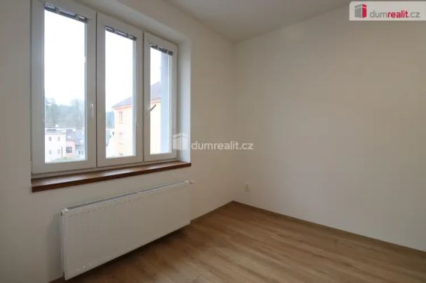 Dlouhodobý pronájem bytu 1+1 v Dalovicích - Photo 1