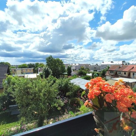 Nowe mieszkanie na wynajem, ul. Przepiórki (437833) - Photo 3