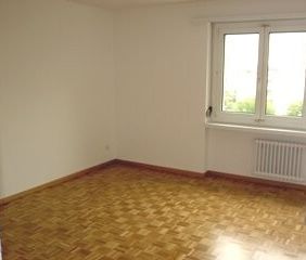 Wir suchen genau Sie - Foto 2