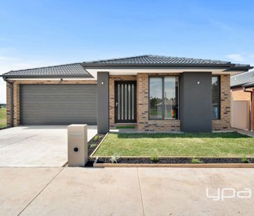 15 Webb Road, Bonshaw - Photo 2