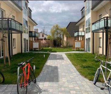 1,5 room Untermiete/Sublet (Pankow) - Photo 3