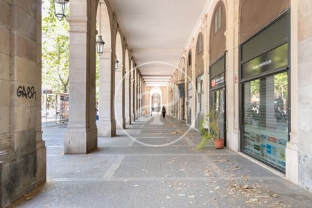 Apartment for rent in El Born - Photo 5