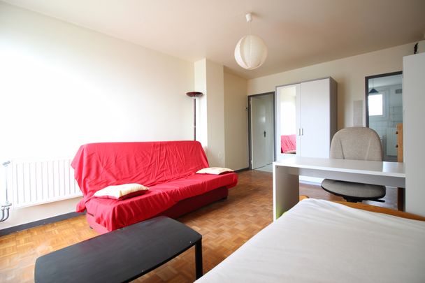 Location Appartement 1 pièce 29m² LIMOGES 87000 - Photo 1