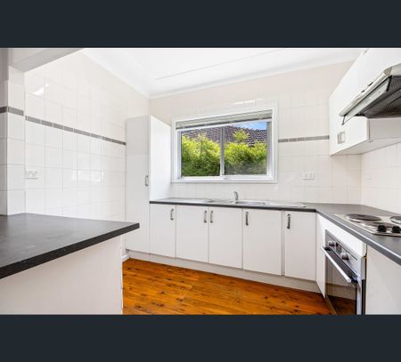 80 Davies Road, Padstow, NSW 2211 - Photo 2