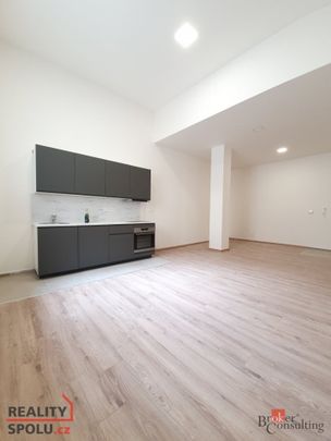 Pronájem bytu 1+kk a garsoniéry 47 m² - Fotografie 1