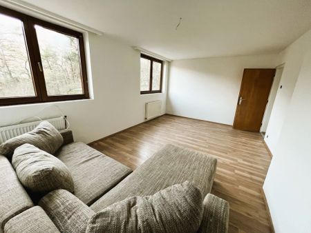 IMST: NEU RENOVIERTE 2,5-Zimmerwohnung mit 75m² Wohnfläche zu mieten - Foto 2