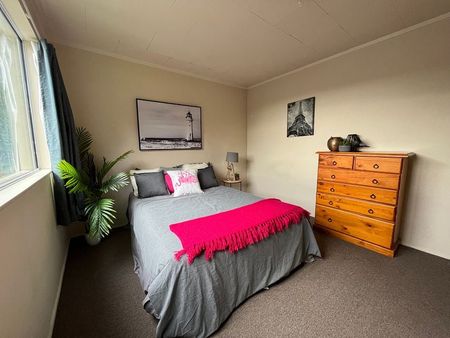 Warm Sunny Fully Furnished 2 bedroom house CBD - Photo 3
