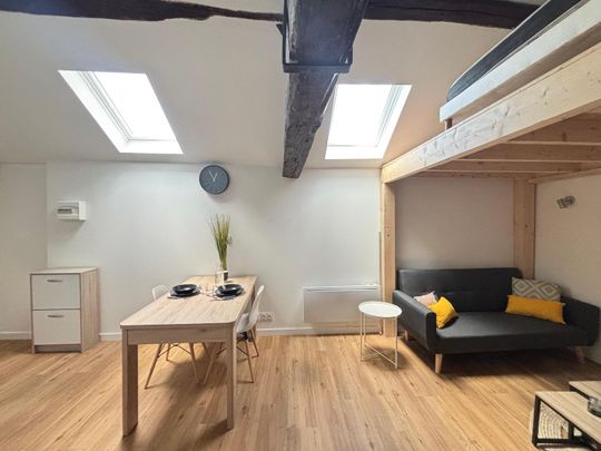 Location Appartement 1 pièce 24m² ANGERS 49000 - Photo 1