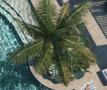 Level 11 Luxury: Brand New 127sqm Apartment, Perfectly Elevated - Photo 6