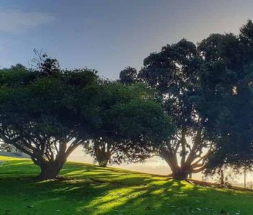 Fresh, Fun & Full of Light! - Photo 1