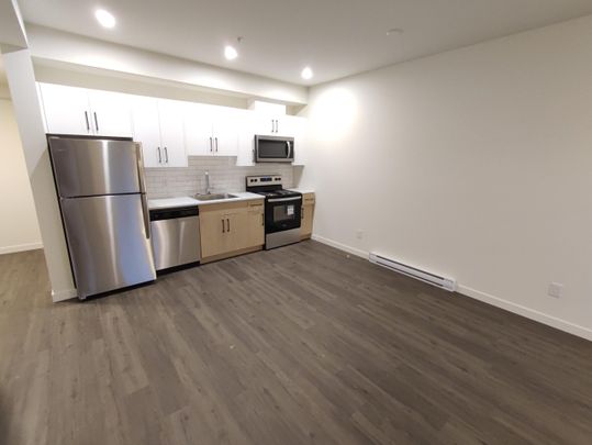 Unit 311 - 1 Bedroom at Central48 - Photo 1