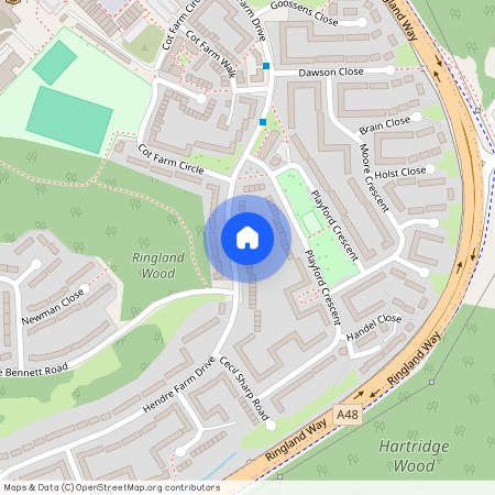 Hendre Farm Drive, Newport, NP19