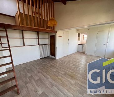 Location Appartement 1 pièce 29m² - Photo 3