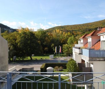 Single Paradies – Erholung im Helenental! - Photo 6