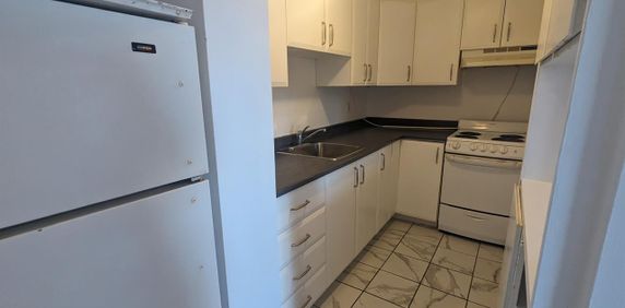 240 Boulevard Alexandre-Taché (Gatineau) Magnifique 4 1/2 - Photo 2