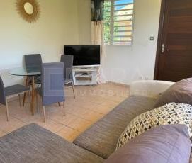 Location Appartement 2 pièces 36m² CAYENNE 97300 - Photo 1