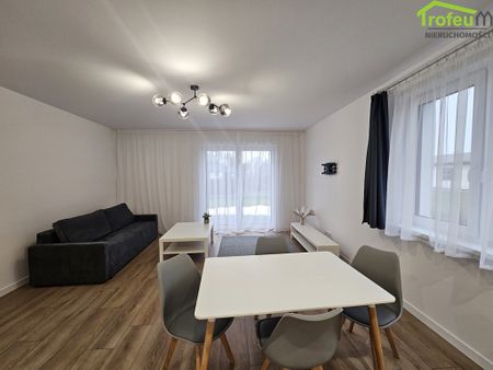 Świecie - Фото 2