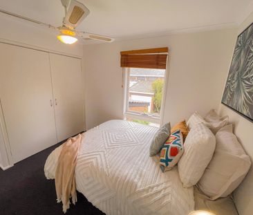 Elwood - Photo 6