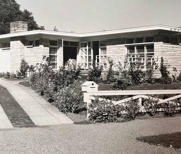 Iconic Mid-Century Gem in Remuera Northern Slopes - Photo 5