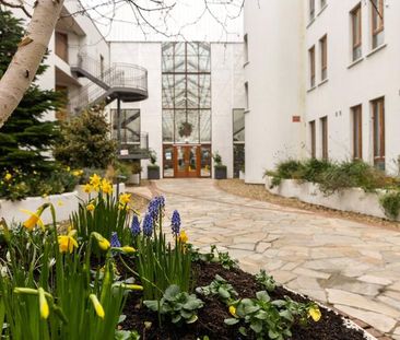 41 The Pine Winter Garden Pearse Street Dublin 2 - Photo 1