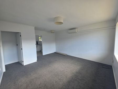 Refreshed on Ranch - Mt Maunganui - Photo 2