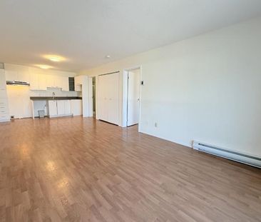 Appartement 3 ½ à louer Sainte-Foy / Sillery août 2027 - Photo 2