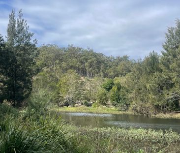 Coorparoo - Photo 3