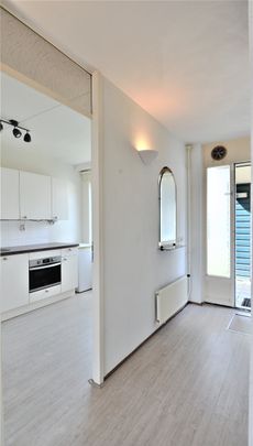 Te huur: Huis Potvisstraat in Amsterdam - Photo 1