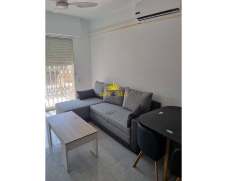 2 BEDROOM APARTMENT - LOS URRUTIAS - Photo 5