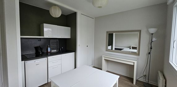 Location Appartement 1 pièce 26m² ANGERS 49000 - Photo 2