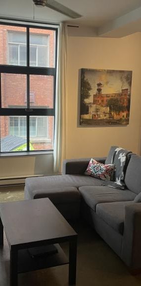 4 1/2 - Montréal (Hochelaga / Maisonneuve) - 2 100 $/mois - Photo 1