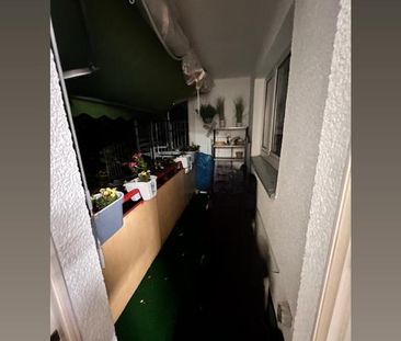 Mietwohnung - Foto 1