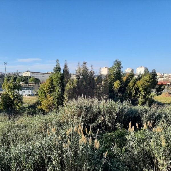 Apartamento T3 em Lisboa - Photo 1