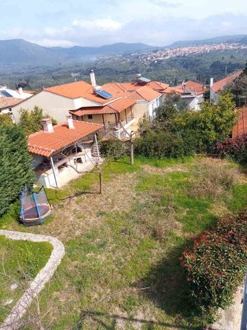 Διαμέρισμα για ενοικίαση Αμπελόφυτο (Νέστορας) - Φωτογραφία 2