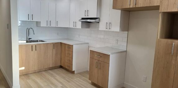 4.5 RÉISOLÉ et RÉNOVÉ DE A à Z ULTRA MODERNE!!! - Photo 2