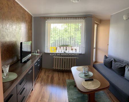 Do wynajęcia, Bukowe, śliczne dwa pokoje, 32,60m2 - Zdjęcie 2