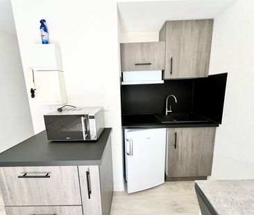 Location Appartement 1 pièce 17m² - Photo 3