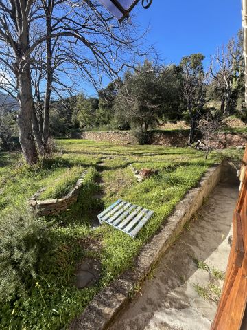 Location Maison 3 pièces 43m² MIOMO 20200 - Photo 5