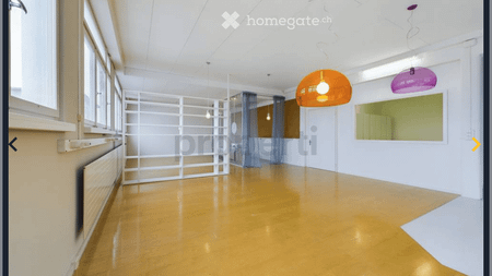 Moderne 2.5-Zimmer-Loft-Wohnung in Luzern Littau - Foto 5