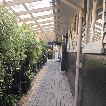 Rural Home Sitting In The Trees - Photo 3