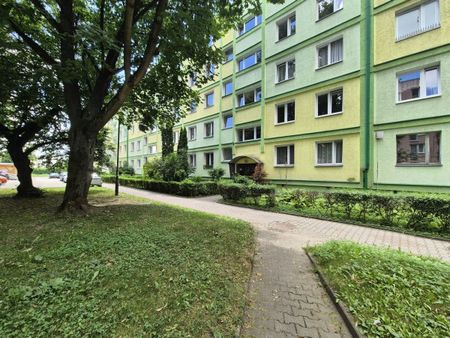 2-pokojowe mieszkanie, osobna kuchnia, centrum 44.1 m² - Zdjęcie 3