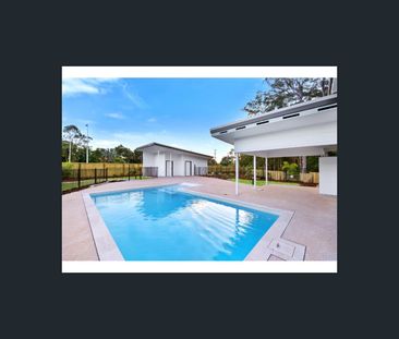 20/156 Stringybark Road, Buderim, Qld 4556 - Photo 5