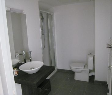 Location Appartement 2 pièces 37m² LENTILLY 69210 - Photo 5