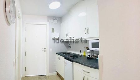 Alquiler de estudio en Parque de la Paloma - Photo 4