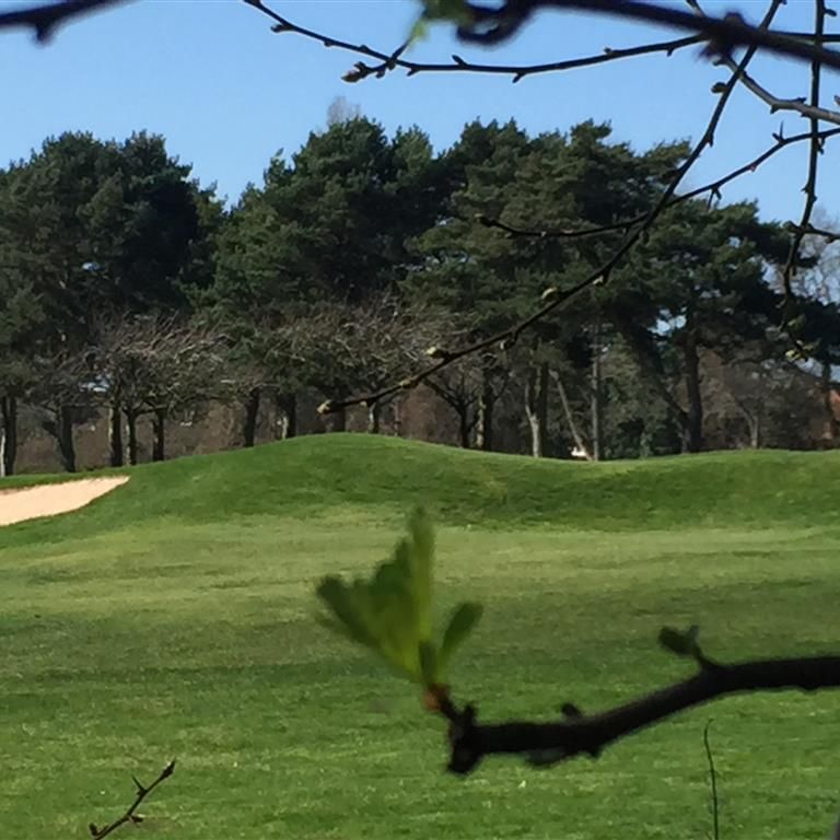 Fredas Grove, Birmingham - Photo 1