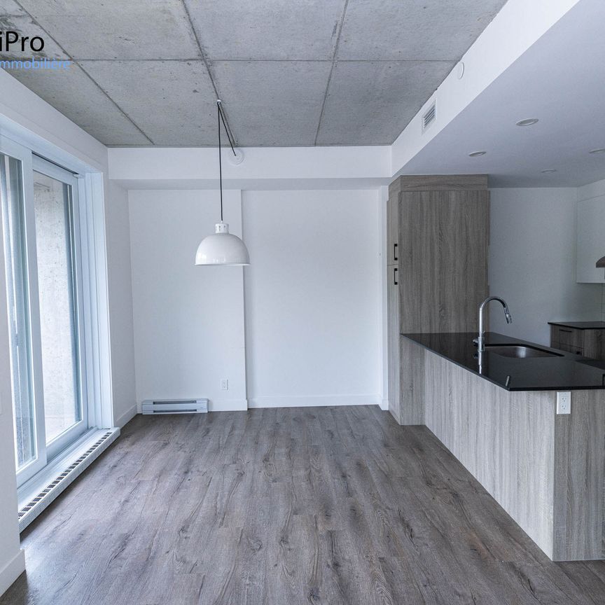 175 St-Vallier Est – Le Gecko - Photo 1