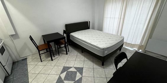 GHETTO MCGILL- STUDIO RENOVÉ & MEUBLÉ- EMPLACEMENT EXCEPTIONNEL - Photo 3