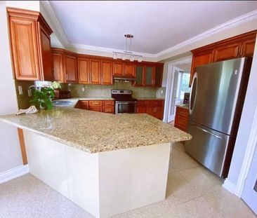 For Lease - 61 Nadine Crescent, Markham, Ontario - Photo 3