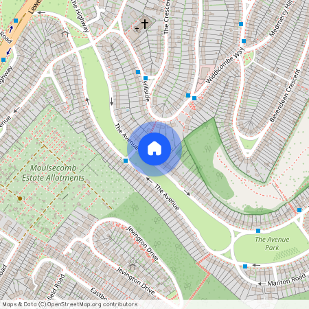 The Avenue, 51, BN2 4GG, Brighton