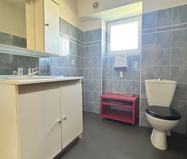 Location Appartement 2 pièces 52 m2 à Saint-Dié-des-Vosges - Photo 5